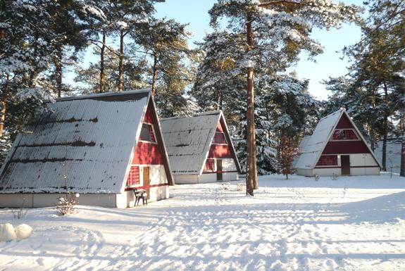 Besneeuwde bungalows | Bospark 't Wolfsven